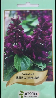 Сальвія пурпурово-фіолетова (0.2г)