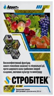 Стробітек (2г)