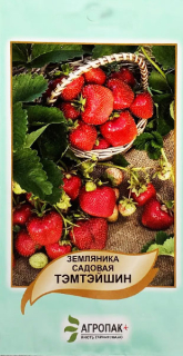 Суниця Темтейшен садова (50шт)