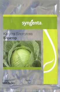 Капуста пізня Блоктор F1 (2500шт)