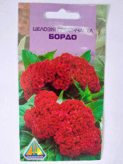 Целозія гребінчаста Бордова (0.2г)