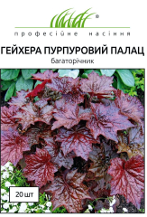 Гейхера Пурпуровий палац мсікранта (20шт)