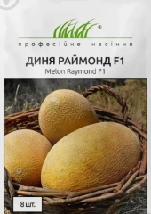 Диня Раймонд 1 (8шт)