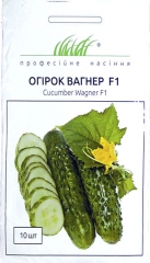 Огірок Вагнер F1 (10шт)