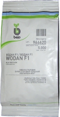 Буряк Водан F1 (5000шт)
