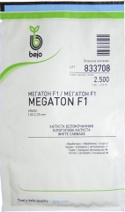 Капуста середня Мегатон (2500шт)