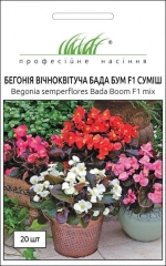 Бегонія Бада Бум F1суміш*ПрофНас (20шт)