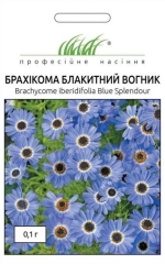 Брахікома Блакитний вогник (0.1г)