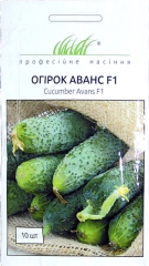 Огірок Аванс F1 (10шт)