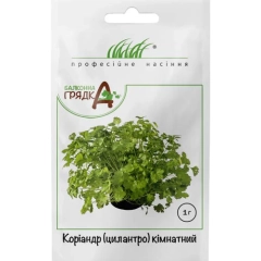 Коріандр Кімнатний (1г)