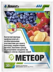 Метеор(чемпіон) (30г)