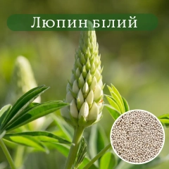 Люпин білий Кристал (1000г)