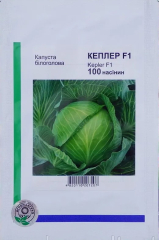 Капуста середньопізня Кеплер F1 (100шт)