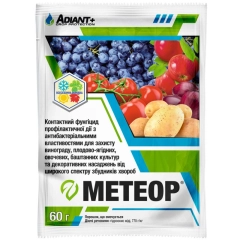 Метеор(чемпіон)(60шт) (60г)