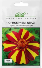 Чорнобривці Денді розлогі (0.2г)