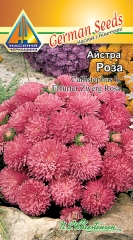 Айстра Роза низькоросла (0.2г)