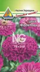 Цинія Фіолетова (0.3г)
