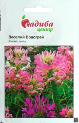 Клеома Веселий водограй