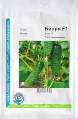 Огірки Бйорн (100шт)