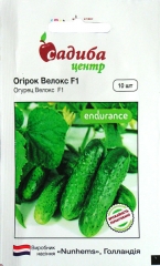 Огірки Велокс  F1 (10шт)