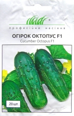 Огірки Октопус Ф1 (20шт)