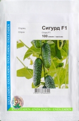 Огірки Сігурд F1 (100шт)