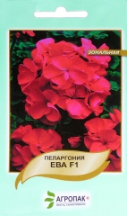 Пеларгонія Єва черв.-фіолет. (5шт)