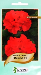 Пеларгонія Гізела зональна (5шт)