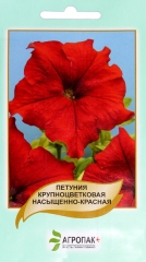 Петунія Великоквіткова низька Бордова (10шт)