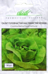 Салат Козіма головчатий масляний (30шт)