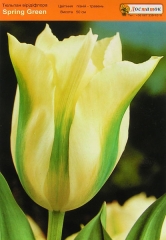 Тюльпан Spring Green