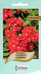 Вербена Спаркл низькоросла (0.1г)