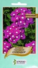 Вербена Сплендор низькоросла (0.1г)