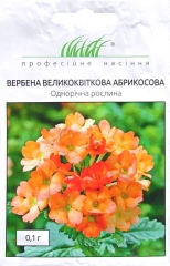 Вербена Абрикосова великоквіткова (0.1г)