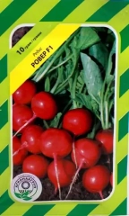 Редиска Ровер (10г)