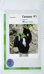 Баклажан Галіне (50шт)
