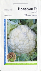 Капуста цвітна Новарія (20шт)