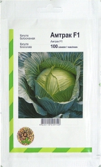 Капуста пізня Амтрак (100шт)