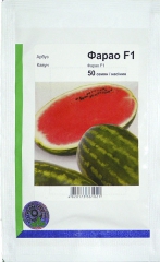 Кавун Фарао (50шт)