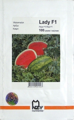 Кавун Леді (100шт)