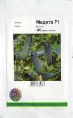 Огірки Мадіта (100шт)