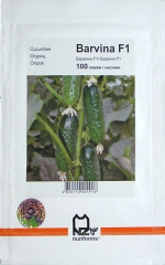 Огірки Барвіна (100шт)