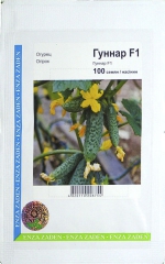 Огірки Гуннар (100шт)