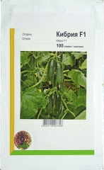 Огірки Кібрія (100шт)