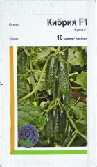 Огірки Кібрія (10шт)
