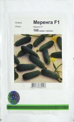 Огірки Меренга (100шт)