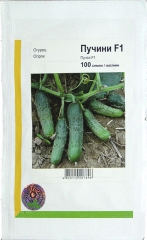 Огірки Пучіні (100шт)