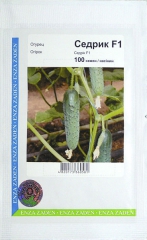 Огірки Седрик (100шт)