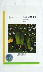 Огірки Соната (100шт)