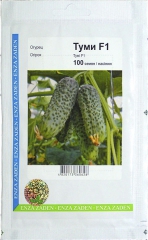 Огірки Тумі (100шт)